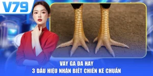Vảy Gà Đá Hay - 3 Dấu Hiệu Nhận Biết Chiến Kê Chuẩn